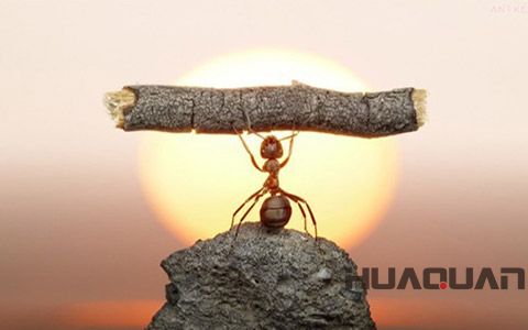 華全動(dòng)力品牌故事之企業(yè)精神解讀(四) 全力以赴